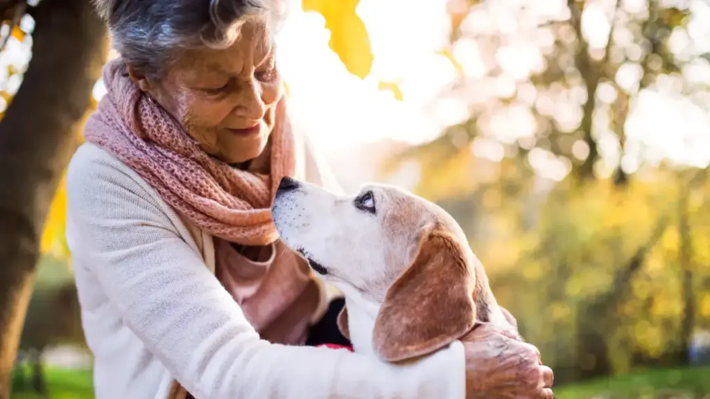 Pet Therapy For Seniors