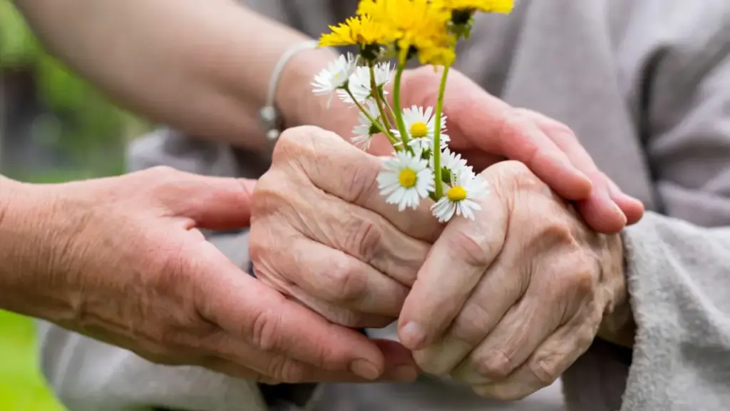 springtime activities for seniors